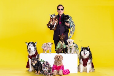  Anthony Rubio, Pet Couturier, with group of dogs dressed in his designs. 