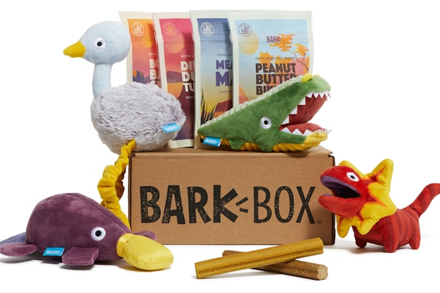  BARKBox product display, showing the box with bags of pet treats and pet toys.