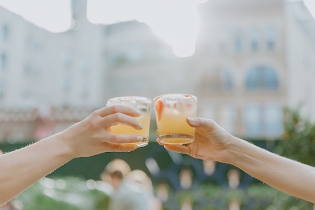  two hands holding margaritas doing cheers