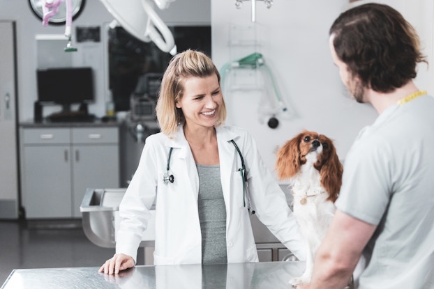  man bringing dog to vet