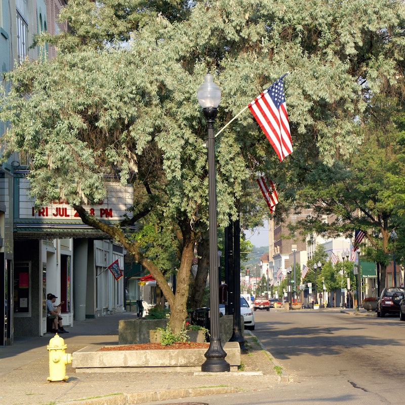 Small town Main Street with storefronts, trees, and American flags.
