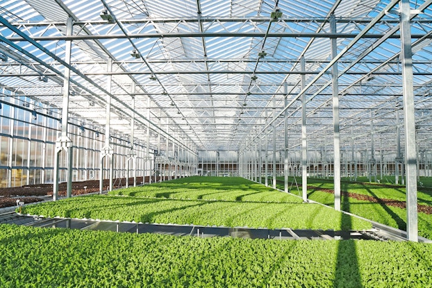  Interior of urban greenhouse Gotham Greens.
