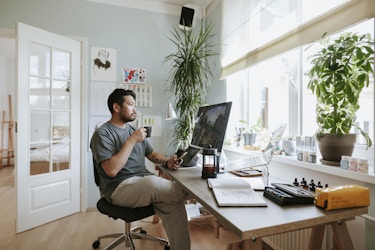  Man works in his home office at his computer, in a room with plants and natural light. 