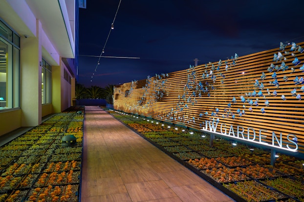 Butterfly garden at the JW Marriott's Anaheim resort.