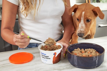 woman spooning petplate food into pet bowl while dog peeks over counter 