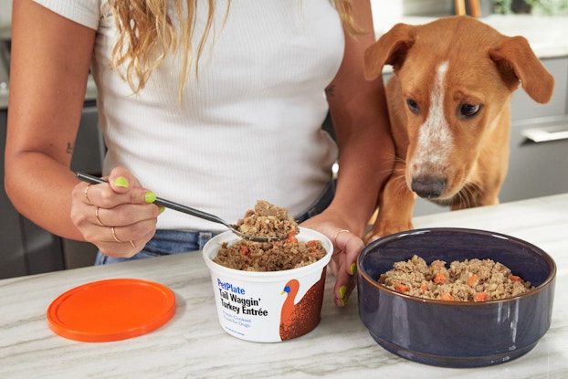  woman spooning petplate food into pet bowl while dog peeks over counter