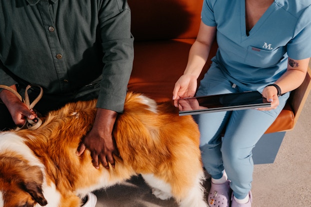  Dog in a lobby of a Modern Animal vet clinic with its pet parent and an employee.