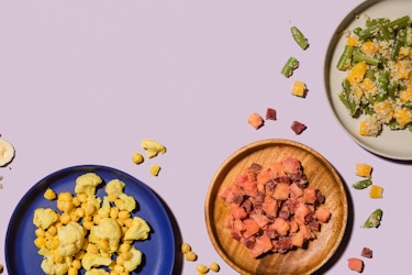  Meals from baby food retailer Raised Real displayed on colorful plates. 