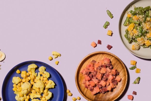 Meals from baby food retailer Raised Real displayed on colorful plates.