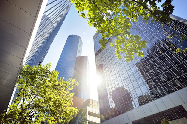 Upwards view of office building and trees in a city on a sunny day.