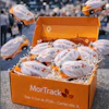 a box with cars in it