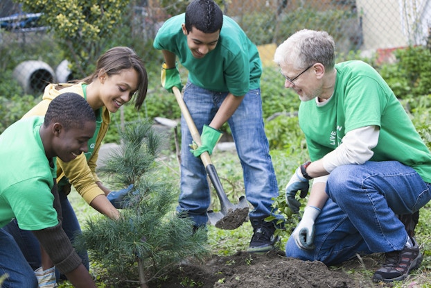 Four people in matching green shirts are outside planting a tree. They crouch around a hole in the ground smiling. The man and woman on the left lower the small evergreen tree into the hole. The young man in the middle leans over the hole with a shovel, moving a bit of dirt out of the hole into a pile. The older man on the right observes them.
