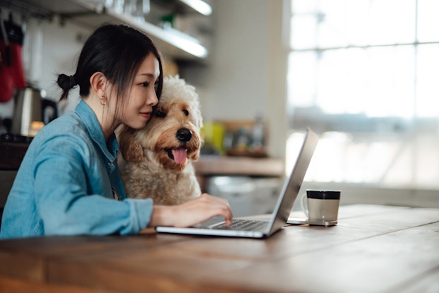 A young woman sits at a table in front of an open laptop. She has a white and brown goldendoodle dog on her lap.