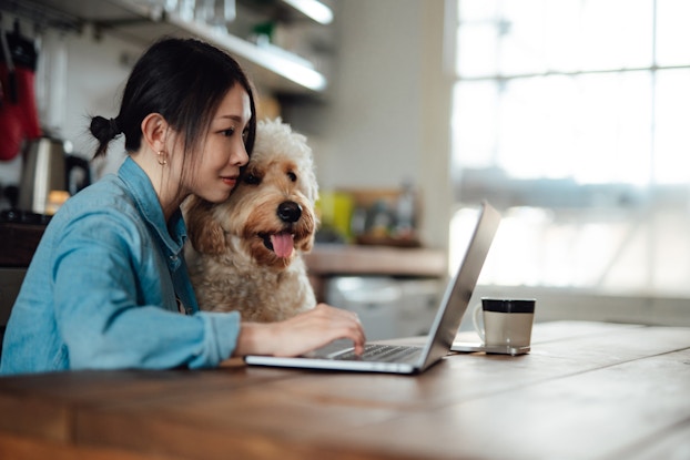  A young woman sits at a table in front of an open laptop. She has a white and brown goldendoodle dog on her lap.