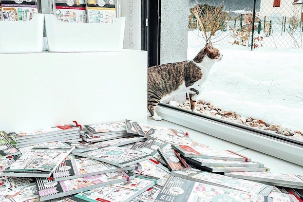 A bunch of Happy Planner notebooks piled up next to a window with a cat in an Instagram post.