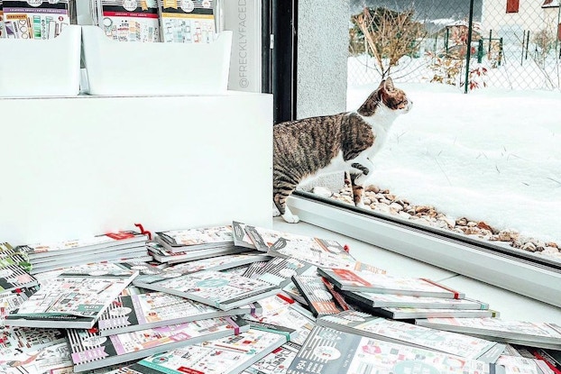  A bunch of Happy Planner notebooks piled up next to a window with a cat in an Instagram post.