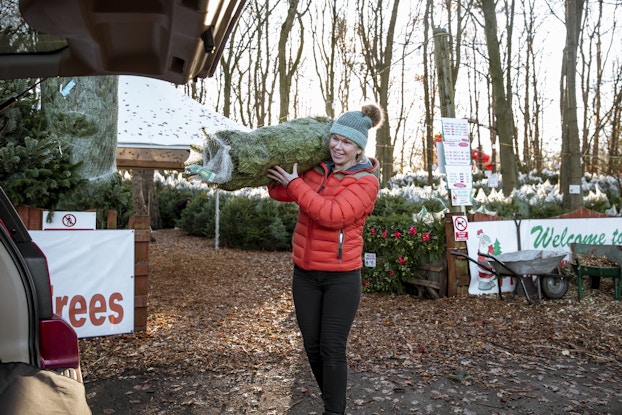 A woman in a red parka and blue winter hat carries a net-wrapped pine tree through a Christmas tree farm toward the open trunk of a car. In the background are dozens of smaller Christmas trees and two semi-obscured signs -- one with a picture of Santa Claus and the other with a welcome message in green cursive.