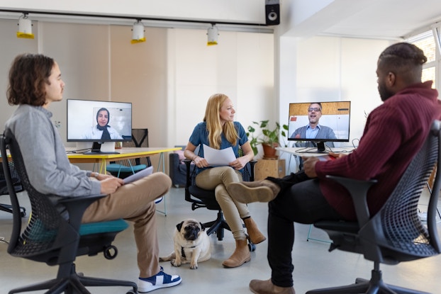 Three people sit in wheeled office chairs facing each other. The middle chair holds a woman who is holding a piece of paper and has a pug dog sitting at her feet. On either side of the woman is a desk holding a computer monitor; the monitors show the faces of two more people participating in the meeting from different locations.