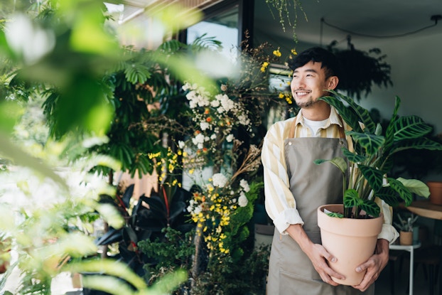  Man working in plant nursery holding a potted plant.