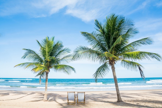  two lounge chairs on a beach with palm trees