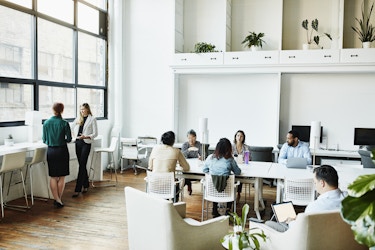  Group of workers inside a bright, open coworking office space. 