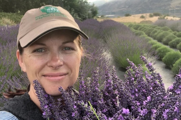 A close-up of Beth Hammerberg, owner and co-founder or Down by the River Lavender, holding a large bouquet of lavender. Behind her, rows of lavender plants stretch into the distance.