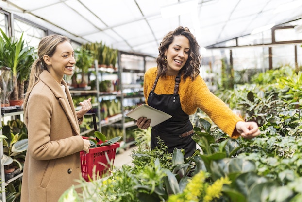 Two smiling women stand in a greenhouse next to rows of leafy potted plants. The woman on the right reaches across the tops of the plants, as if to grab something. She is wearing a yellow sweater under a black apron. The woman on the left is wearing a tan peacoat and carrying a red shopping basket that holds a couple of small plants. In the background are several industrial shelving units, also holding potted plants.