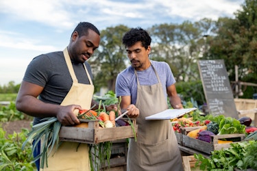  Two men in khaki aprons stand outside next to a table covered with wide wooden baskets of vegetables. The man on the left wears a black T-shirt and carries one of the baskets, which has wooden handles and is filled with carrots, eggplants, and potatoes. The man on the right has a goatee and wears a light blue T-shirt; he holds a clipboard and uses a pen to point at one of the vegetables in the other man's tray. 