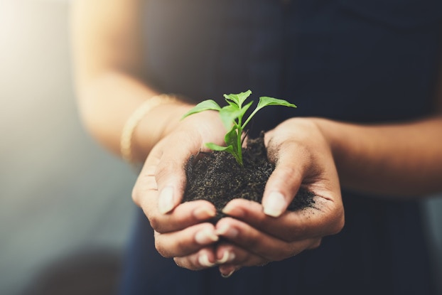 Sustainability is a growing movement.