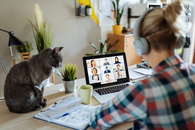 woman working remotely in a video meeting with a cat on her desk